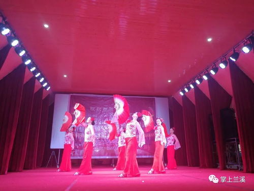 放歌新时代，文化进万家——记2019新春文化系列活动与兰溪水鸟艺术团的基层之旅